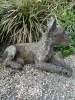 Artikelbild 2 des Artikels “liegender Hund ca 50cm, Steinguss “